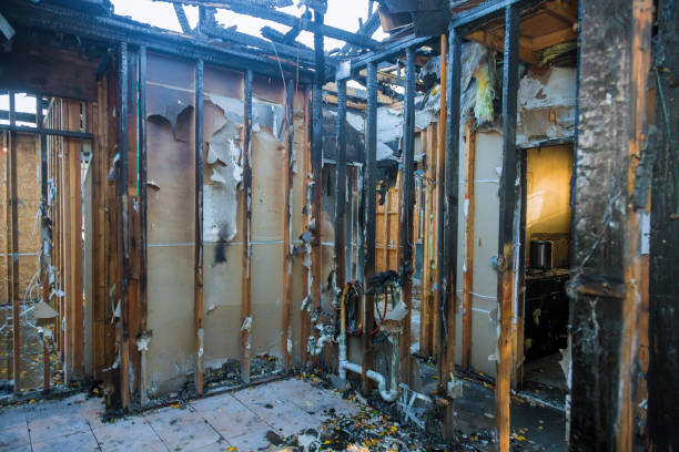 Professional Fire Damage Removal technician working in Ozark, AL